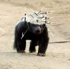 Meet your Posher, Sabyl